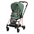 Прогулочная коляска Cybex Mios III Rosegold Leaf Green